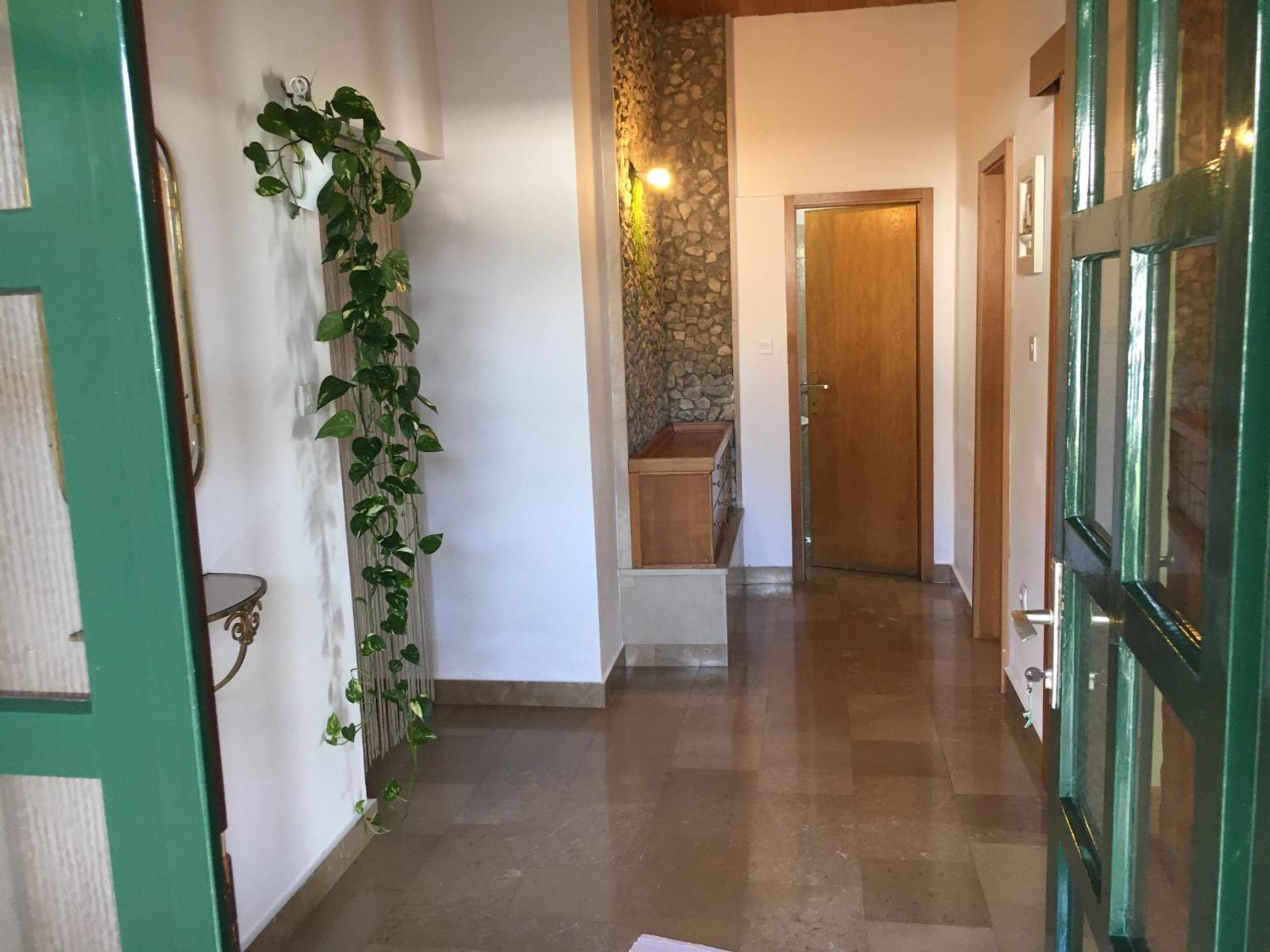 Apartments Leut Drasnice Dış mekan fotoğraf