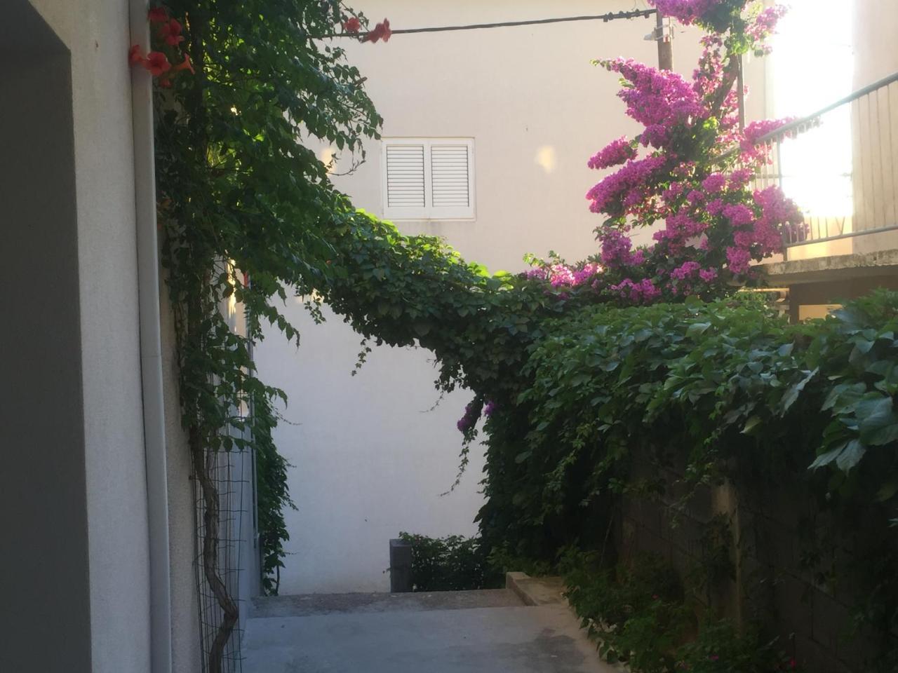 Apartments Leut Drasnice Dış mekan fotoğraf