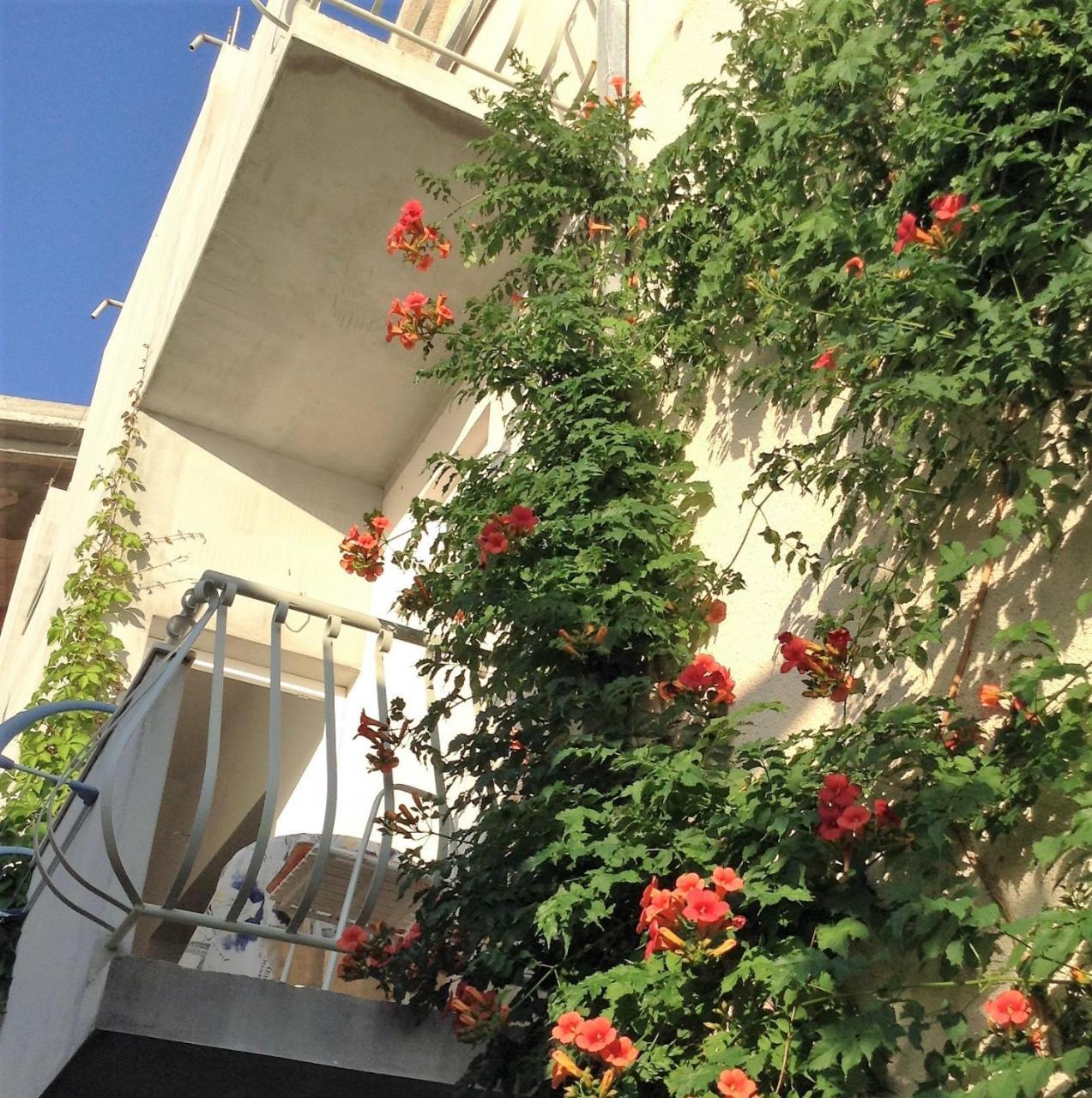 Apartments Leut Drasnice Oda fotoğraf